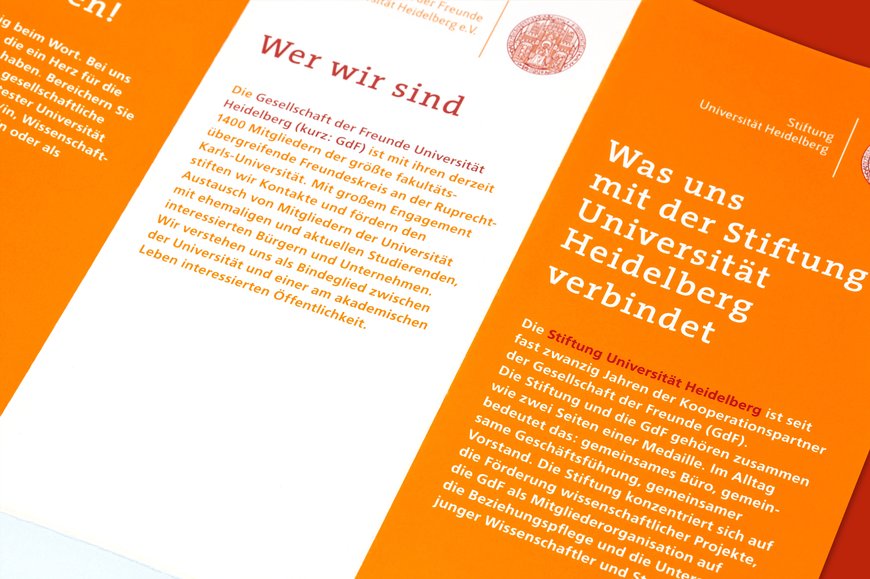 Übersicht Projekt Stiftung und Gesellschaft der Freunde Universität Heidelberg
