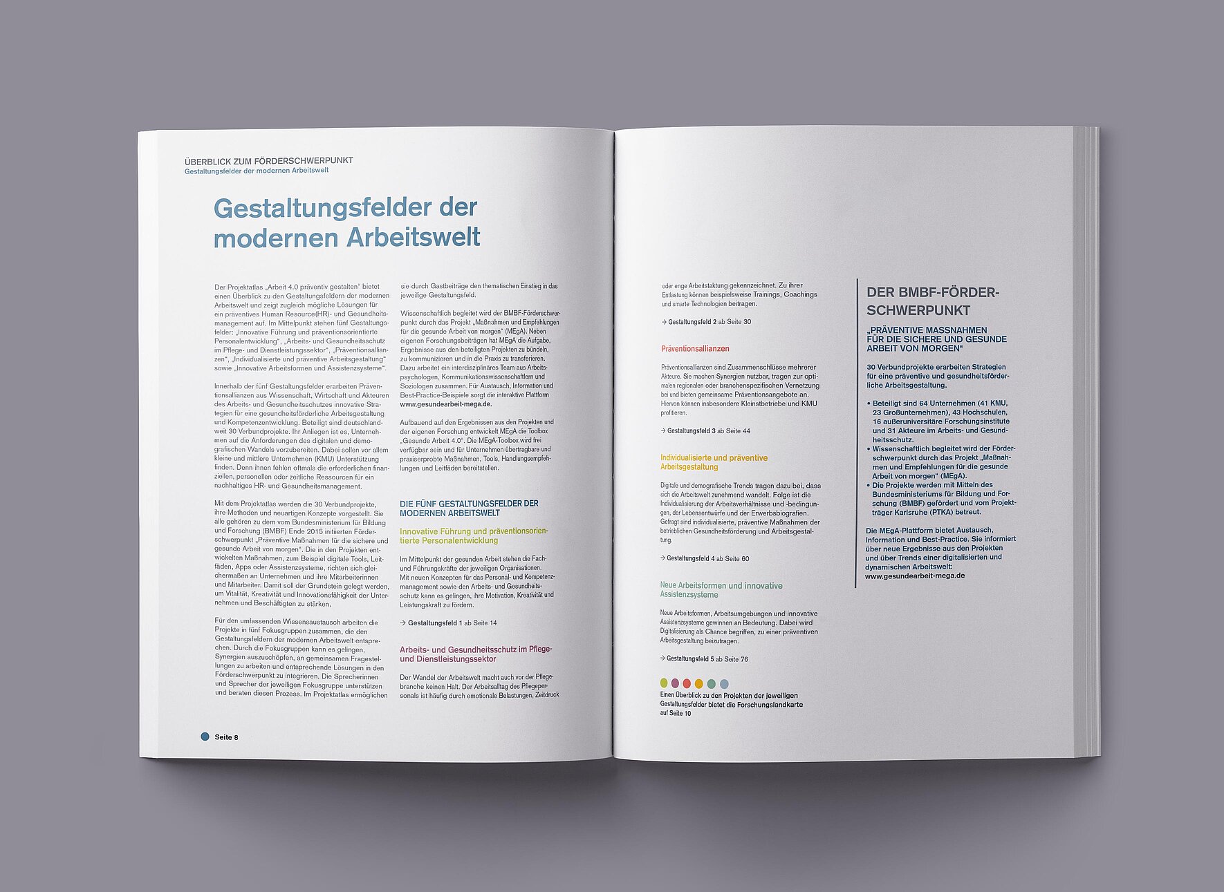 Eine aufgeschlagene Seite der Broschüre für das Psychologische Institut Heidelberg mit Informationen zu verschiedenen Förderschwerpunkten.